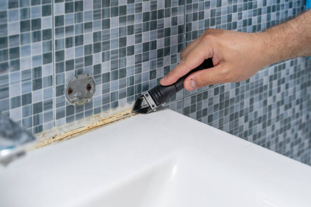 Best Mold Remediation for Schools in Monte Alto, TX