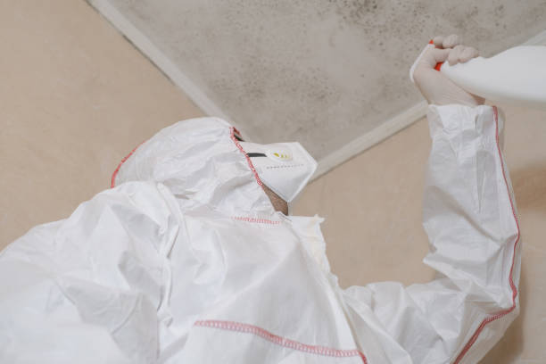 Best Residential Mold Remediation in Monte Alto, TX