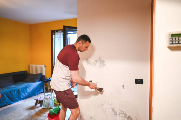 Best Bathroom Mold Remediation in Monte Alto, TX